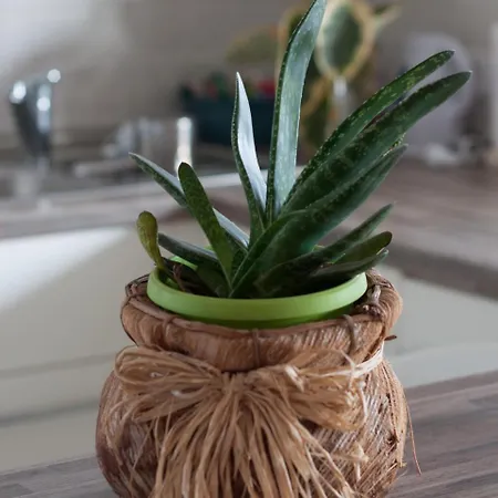 Modern And Bright In *